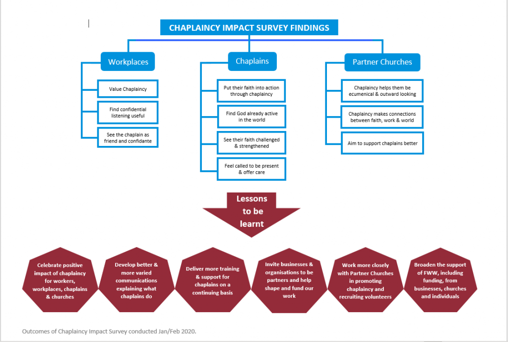 Survey findings summary graphic