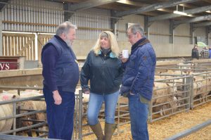 Worcester Livestock market